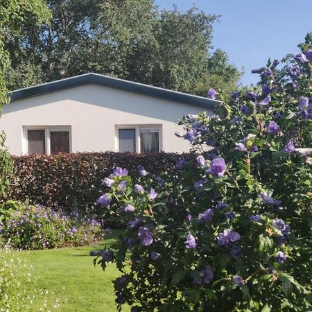 Vakantiebungalow Texel Де-Коксдорп Экстерьер фото