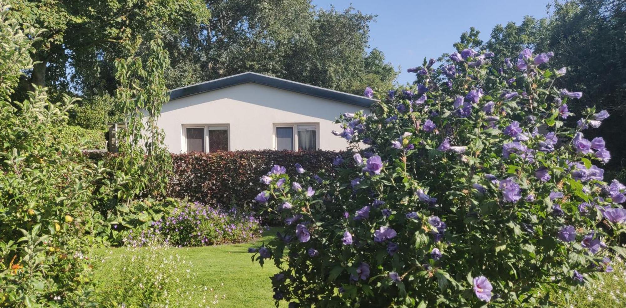 Vakantiebungalow Texel Де-Коксдорп Экстерьер фото